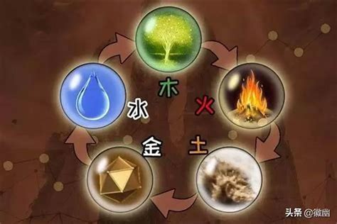 金、木、水、火、土|「万物类象」金、水、木、火、土五行取象